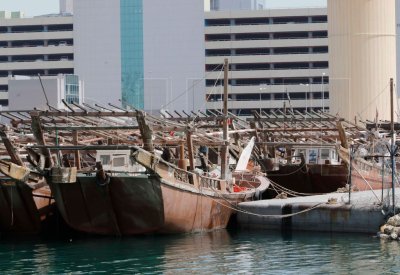 41 بانوش للبيع بهذا السعر