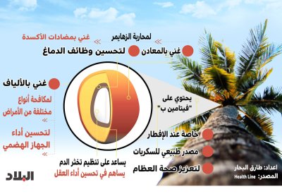 انفوجرافيك: لماذا التمور جزء صحي من الطعام الرمضاني؟
