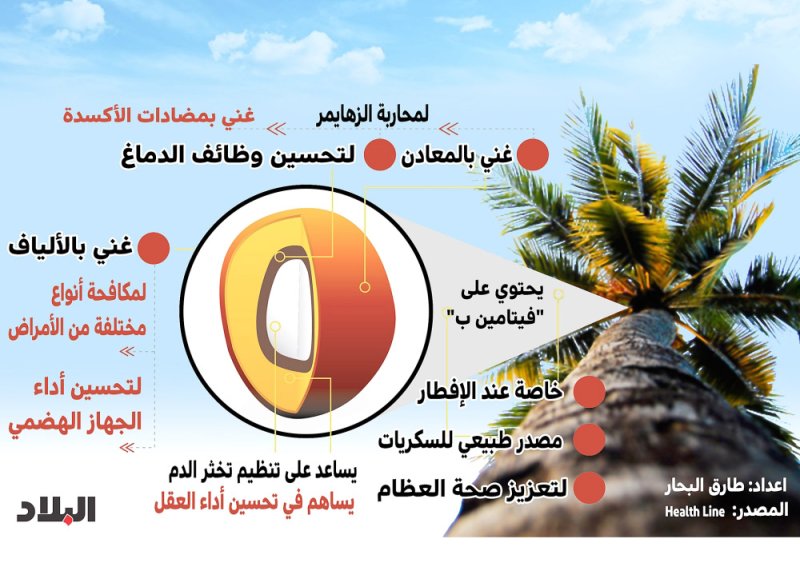 انفوجرافيك: لماذا التمور جزء صحي من الطعام الرمضاني؟