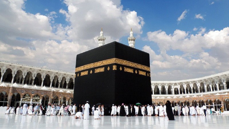 صاحب حملة تبوك: نصف مقاعد الحج شاغرة