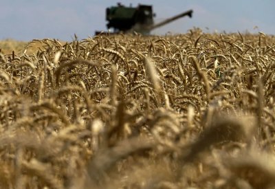 الطقس والتهديد الروسي بشأن اتفاق الحبوب يلهبان أسعار القمح
