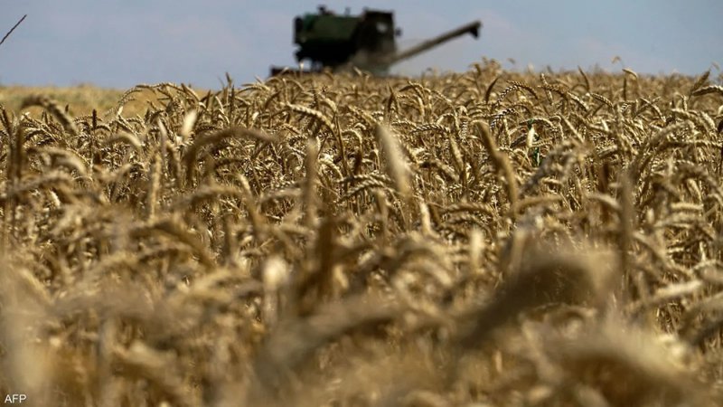الطقس والتهديد الروسي بشأن اتفاق الحبوب يلهبان أسعار القمح