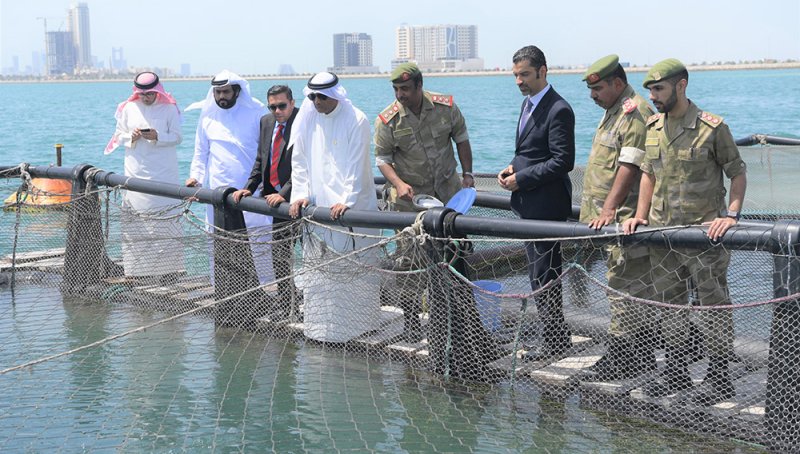 وزير شؤون البلديات والزراعة يطلع على مشروع الحرس الوطني في الاستزراع السمكي