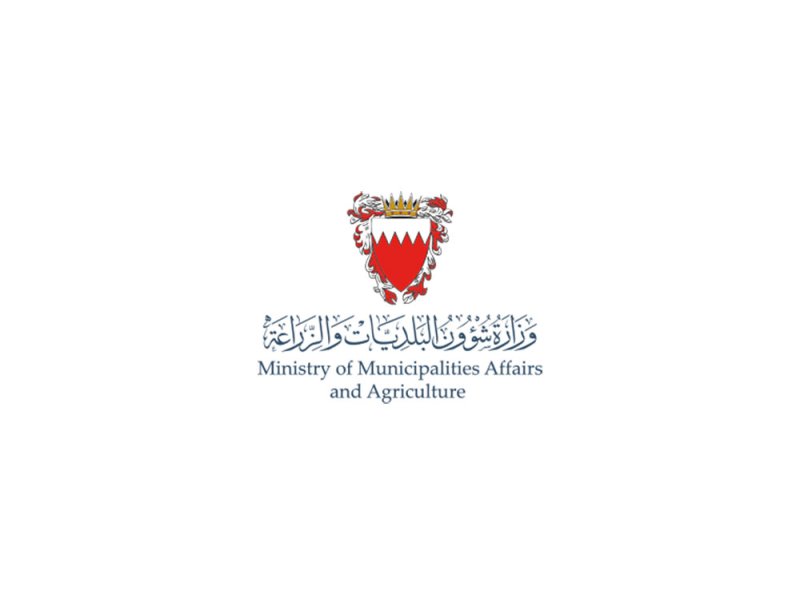 وفقاً لآخر إحصائية.. نصف مليون نخلة في البحرين