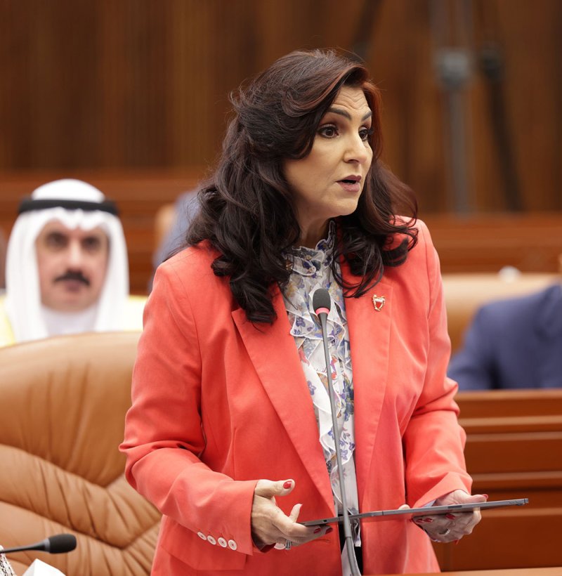 رمزي: صندوق المعاشات لا يتحمل امتيازات "الشورى والنواب"