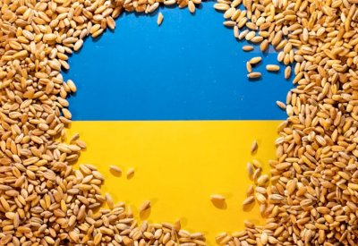 سلوفاكيا تحظر استيراد الحبوب الأوكرانية