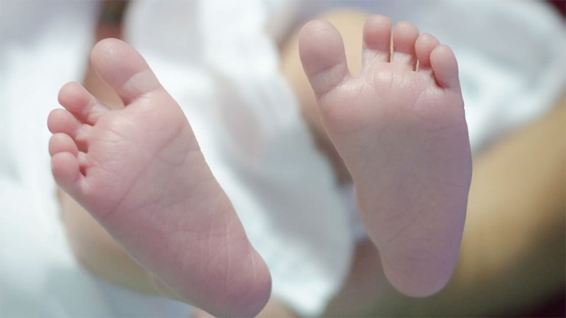 بعد إنجابه 550 طفلا.. محكمة هولندية تعاقب "الرجل الخارق"