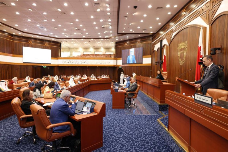 بيان الجلسة السابعة عشرة لمجلس الشورى