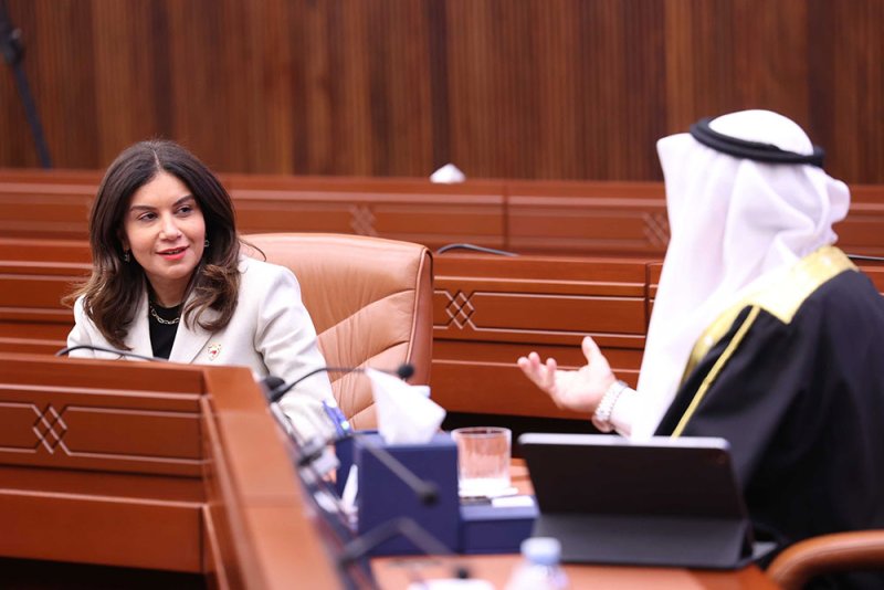 محمد علي: مايميز حساب التأمين ضد التعطل أن موارده ليست من الحكومة فقط