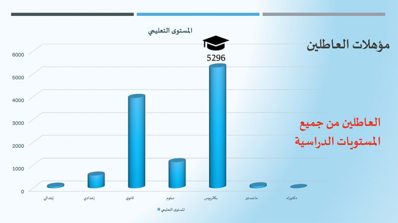 خريجو إدارة الأعمال والآداب يتصدرون قوائم العاطلين