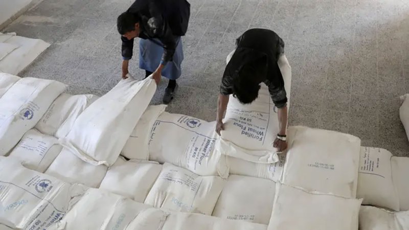 اليمن.. وصول 24 ألف طن قمح إلى عدن بتمويل سعودي
