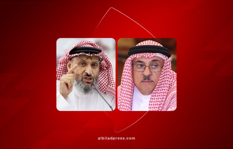 الفئران والأرانب تسرح في "مجاري العاصمة".. وعبداللطيف: الجنوبية نظيفة