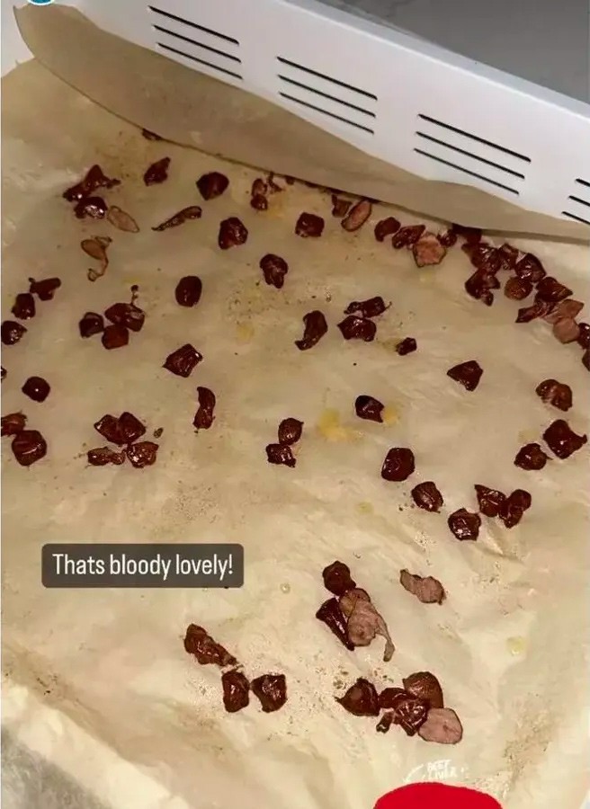 وجبة هالاند