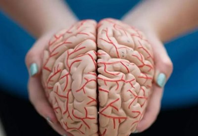 دماغ الإنسان وارتفاع الحرارة.. تأثيرات مذهلة تصل للانتحار