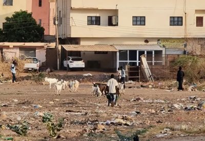 لا أفق للتهدئة.. نزاع السودان يدخل أسبوعه الثامن