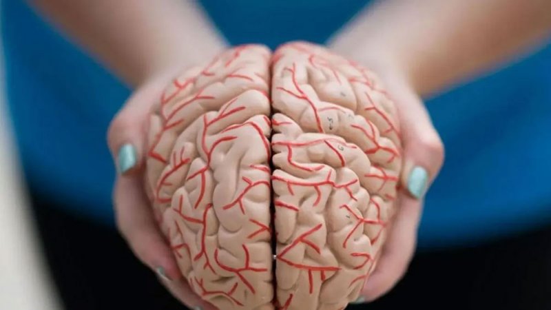 دماغ الإنسان وارتفاع الحرارة.. تأثيرات مذهلة تصل للانتحار