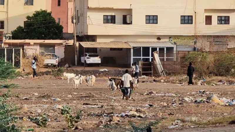 لا أفق للتهدئة.. نزاع السودان يدخل أسبوعه الثامن