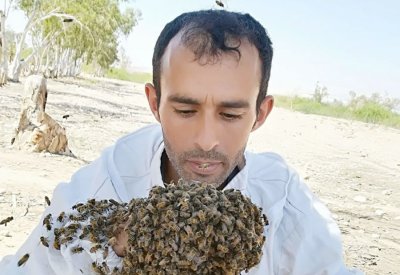 بعد محنة السيول.. إنجاز يعيد الفرحة لمالك المناحل الأردني