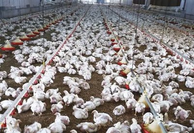 وزير الصناعة السعودي: نستهدف جذب استثمارات 20 مليار دولار بقطاع الأغذية