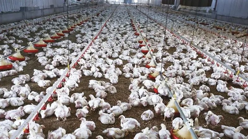 وزير الصناعة السعودي: نستهدف جذب استثمارات 20 مليار دولار بقطاع الأغذية