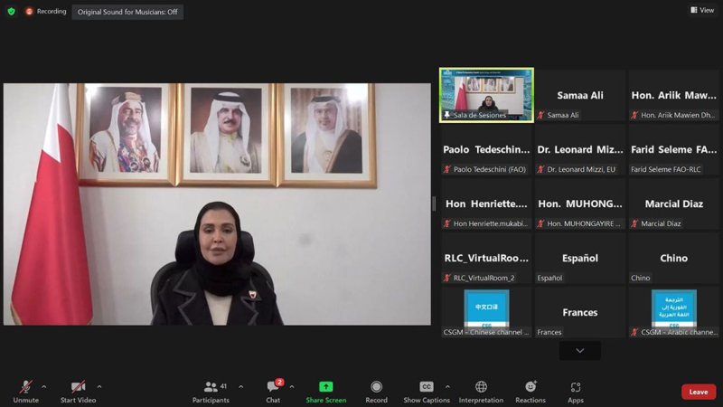 الفاضل: ضرورة تشجيع الصناديق الاستثمارية والسيادية لإطلاق مشروعات للاستثمار في الأمن الغذائي