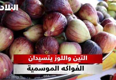 بالفيديو: التين واللوز يتسيدان الفواكه الموسمية