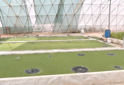 خبراء يؤكدون ضرورة توظيف التكنولوجيا الرقمية في مجال الري