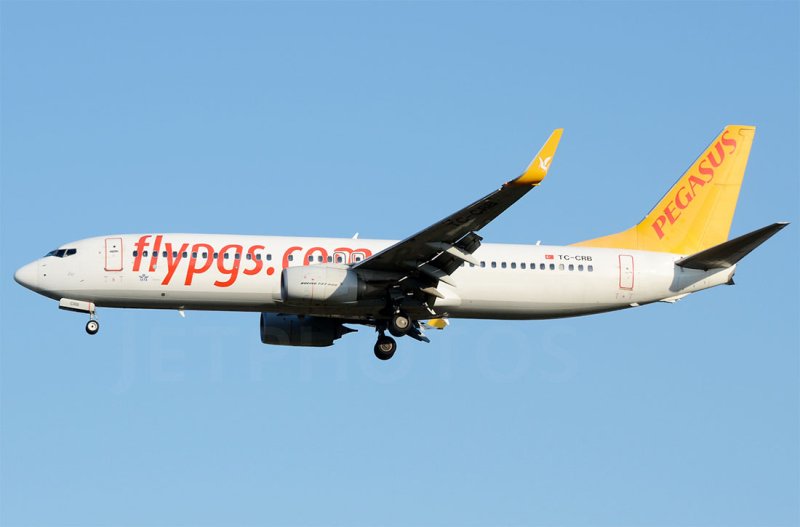 شركة الطيران التركية بيغاسوس تطلب شراء 36 طائرة إيرباص A321neo