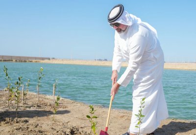 سمو الشيخ عبدالله بن حمد آل خليفة يدشن المرحلة الثانية لزراعة نبات القرم في جزيرة أم النعسان بمناسبة اليوم العالمي لأشجار القرم 