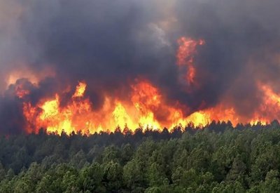 الجزائر: 15 حالة وفاة بسبب الحرائق