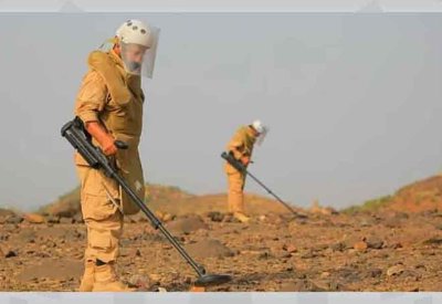 مشروع "مسام" ينتزع 625 لغمًا في اليمن خلال أسبوع