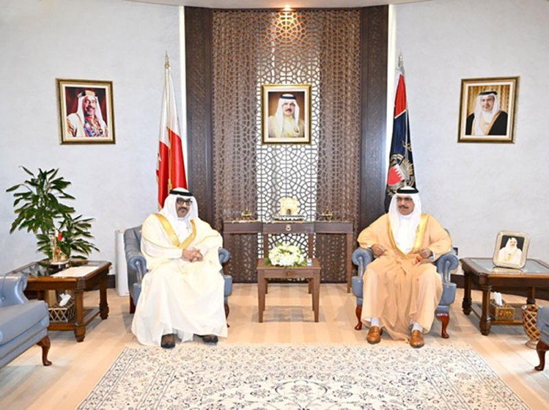 وزير الداخلية يبحث مجالات التعاون والتنسيق مع وزير التربية والتعليم