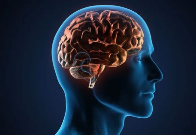 بينها تقليل التوتر.. 10 طرق سهلة لشحذ الدماغ