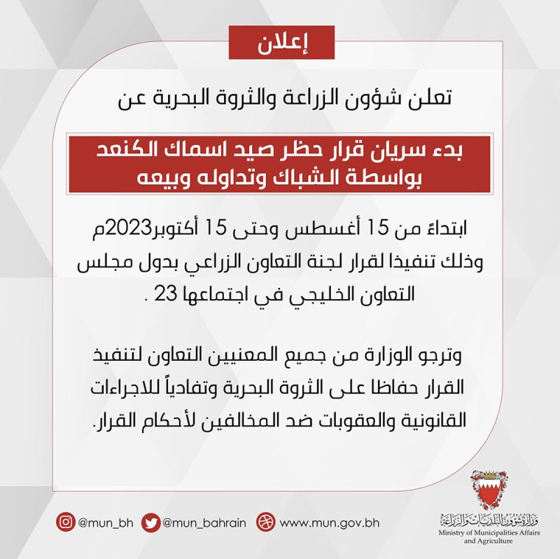 حظر صيد أسماك الكنعد بواسطة الشباك اعتبارًا من 15 أغسطس وحتى 15 أكتوبر