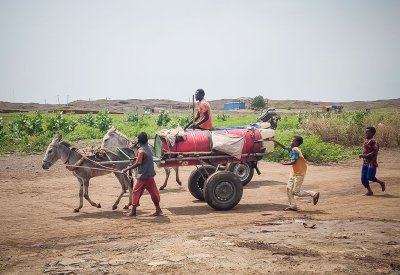 تقرير صادم يكشف أعداد أطفال ماتوا جوعا في السودان