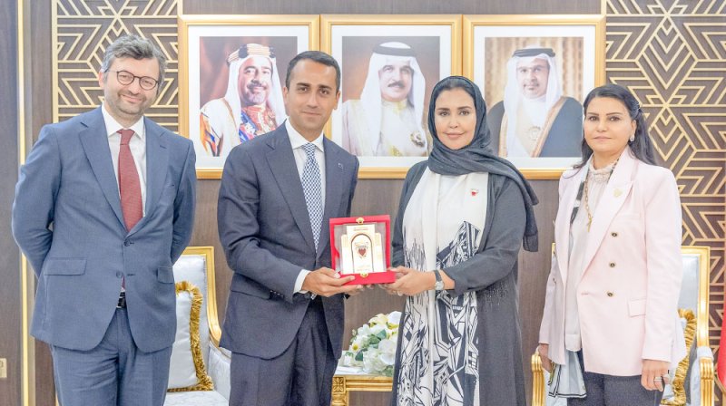 الفاضل: بناء شراكات دبلوماسية فاعلة لتحقيق الأهداف التنموية