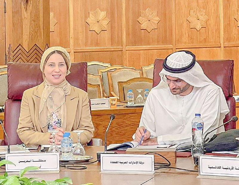 اجتماع القاهرة يناقش موضوعات متعلقة بتعزيز حقوق الإنسان