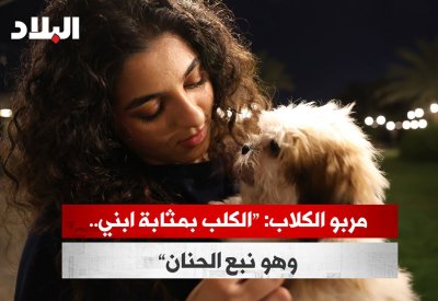بالفيديو: مربو الكلاب: "الكلب بمثابة ابني.. وهو نبع الحنان"