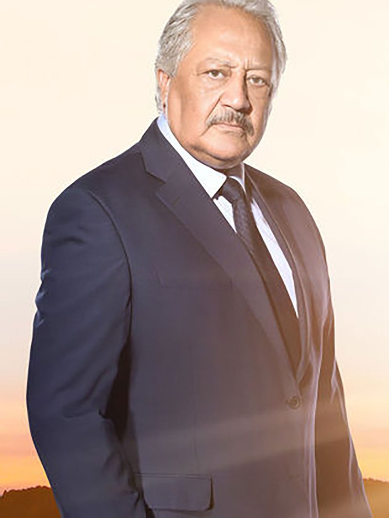 الإسكندرية السينمائي يكرم النجم "خالد زكي"
