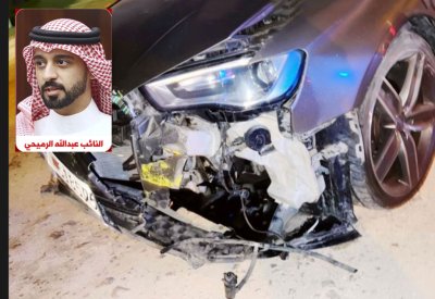 كلب ضال يتسبب بحادث مروري للنائب الرميحي