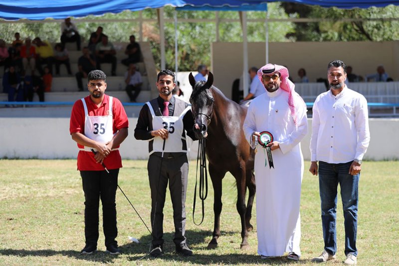 نتائج مميزة لفريق الاتحاد الملكي البحريني لجمال الخيل في بطولة الشرق الأوسط بالأردن