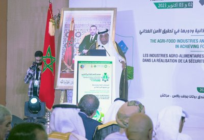 رئيس الغرفة العربية: إدراج مفهوم الأمن الغذائي في الاستراتيجيات الأمنية بوصفه أحد مكونات الأمن القومي العربي