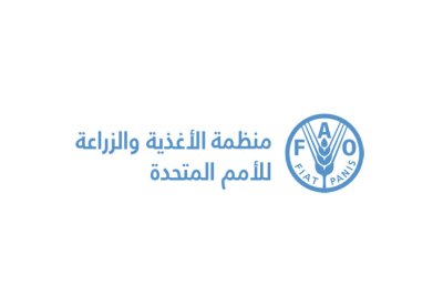 "الفاو": استقرار مؤشر أسعار الغذاء العالمي في سبتمبر