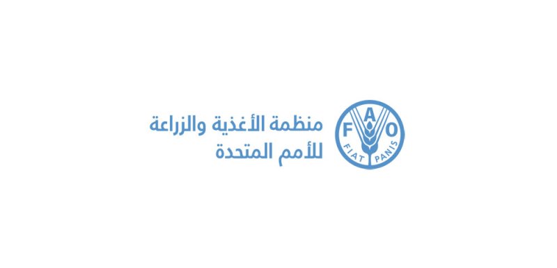 "الفاو": استقرار مؤشر أسعار الغذاء العالمي في سبتمبر