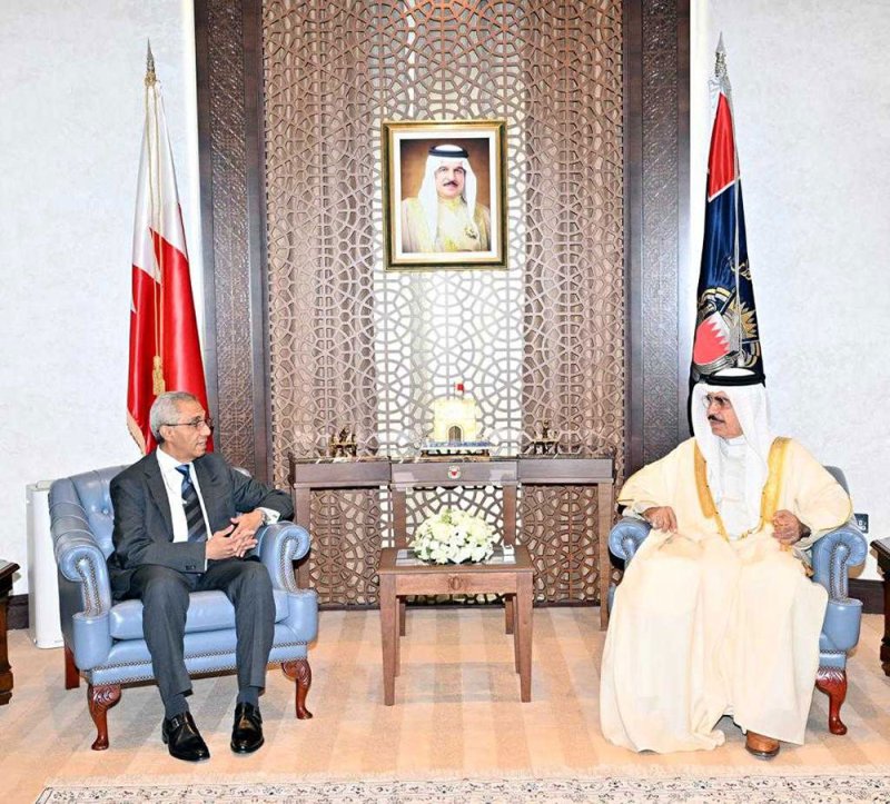 وزير الداخلية يستقبل السفير المصري بمناسبة انتهاء فترة عمله الدبلوماسي ويشيد بالعلاقات الطيبة بين البلدين