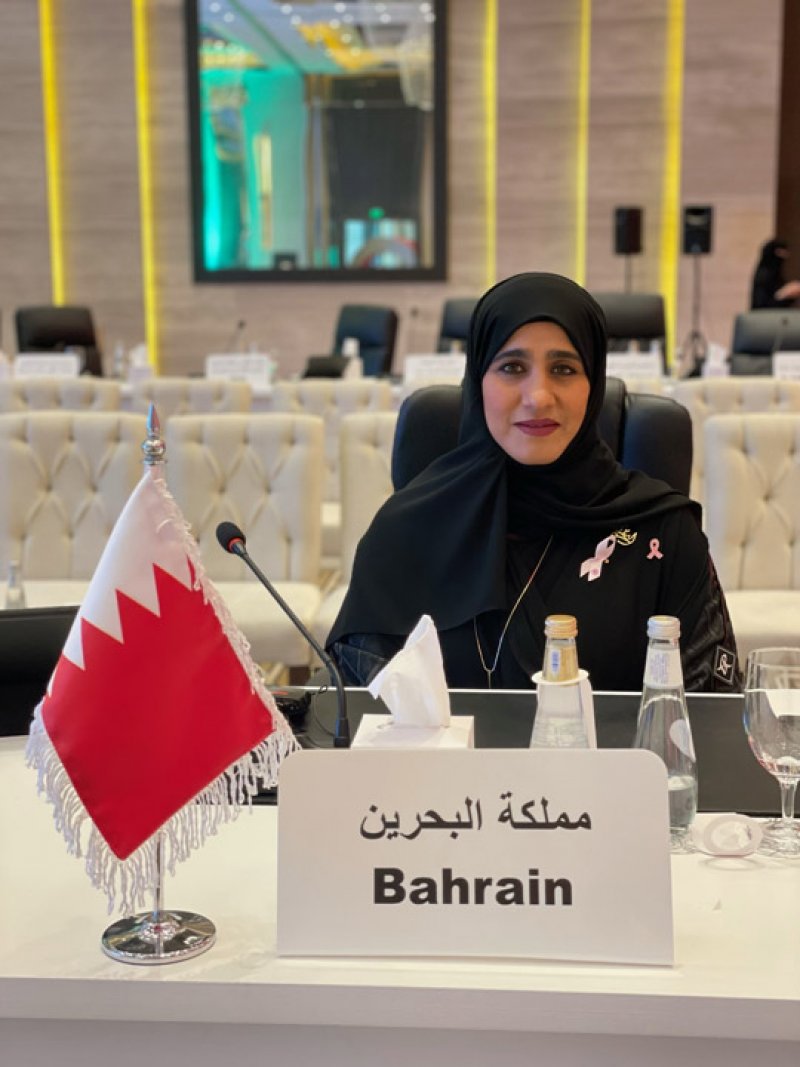 ‬الهيئة الوطنية لتنظيم المهن والخدمات الصحية تشارك في الاجتماع الإقليمي لمبادرة صحة المرأة العربية