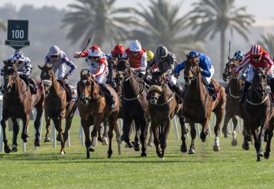 الإسطبلات ترفع استعداداتها والمدربون يتوقعون موسماً قوياً ويطمحون للأنتصارات