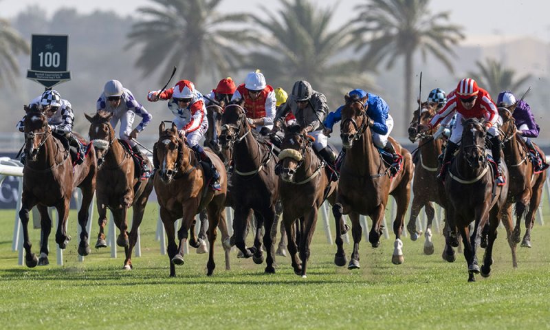الإسطبلات ترفع استعداداتها والمدربون يتوقعون موسماً قوياً ويطمحون للأنتصارات