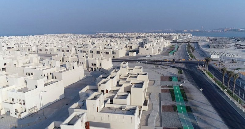 تشجير شرق مدينة الحد