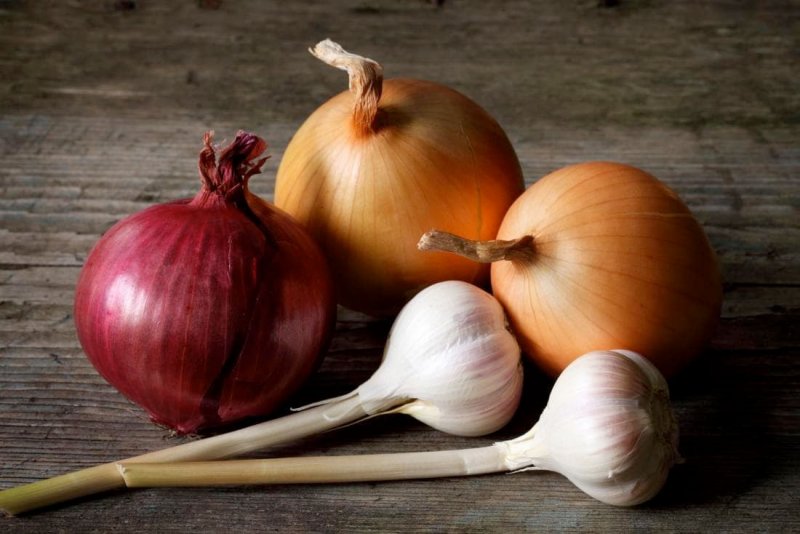 هل تناول البصل والثوم مفيد في فصل الخريف